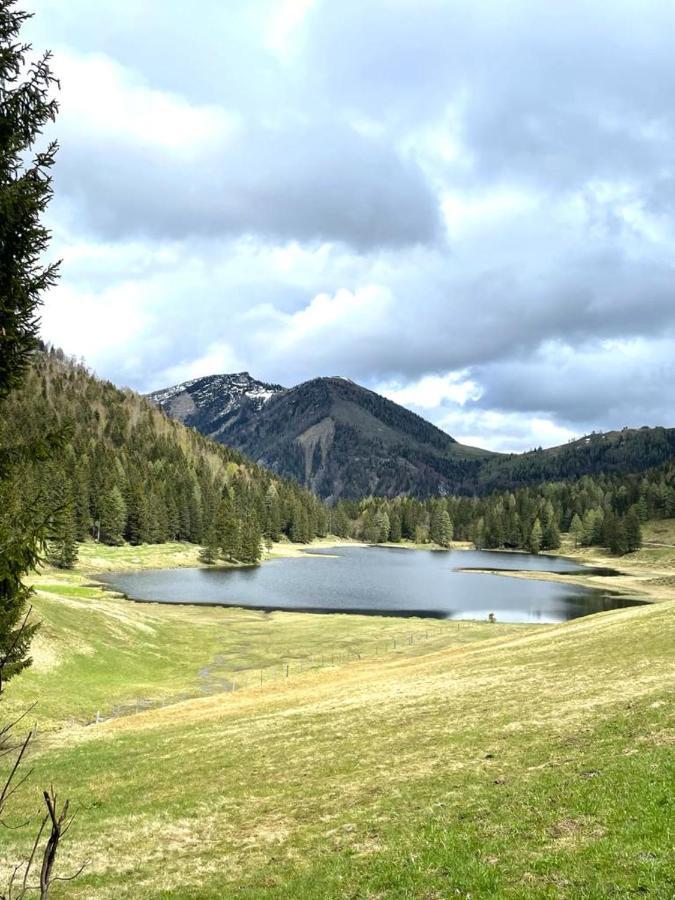 Tauglerei Appartement Kamin In Den Zauberbergen Sankt Koloman Dış mekan fotoğraf